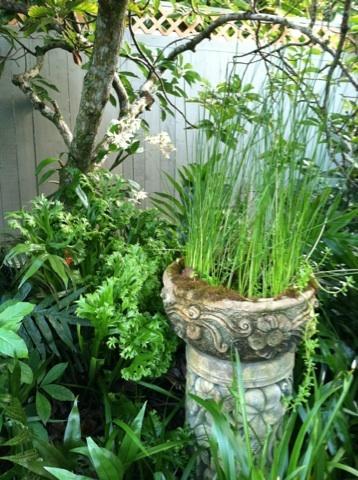 The Secret Garden Room Kapa'a Kamer foto